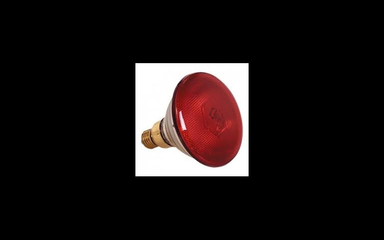 Warme Lampe rot 230V - 250W